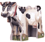 Cow